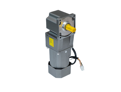 微型定速電機 微型定速電機