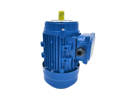 微型定速電機 微型定速電機